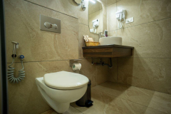 Deluxe-washroom-resize